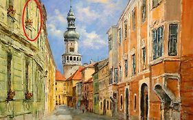 Belvarosi Erdesz-Lak Sopron